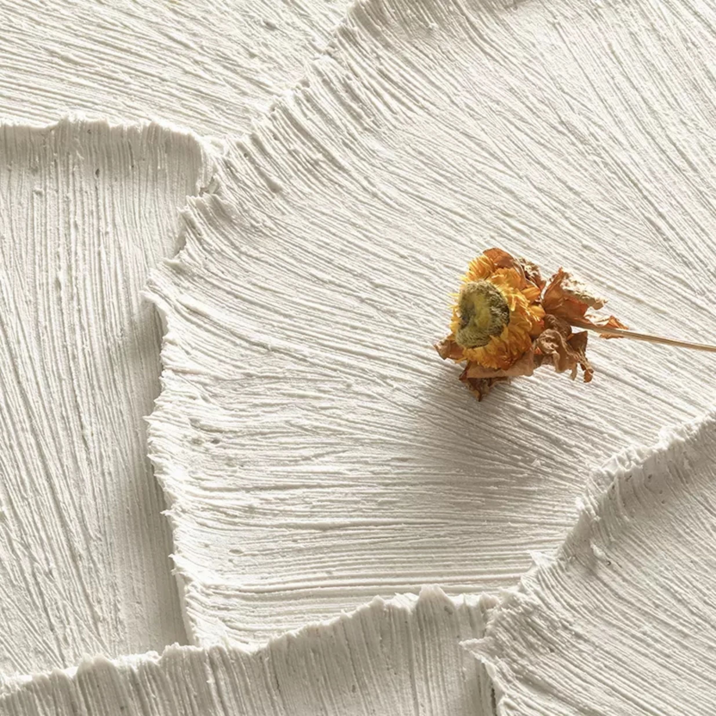 Plaster Art Texture Painting #SG158